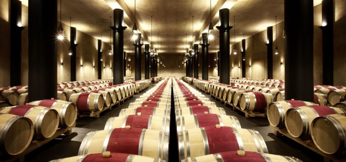 Tour del vino nella campagna toscana